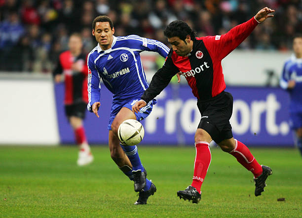 战术体系的 战术体系的